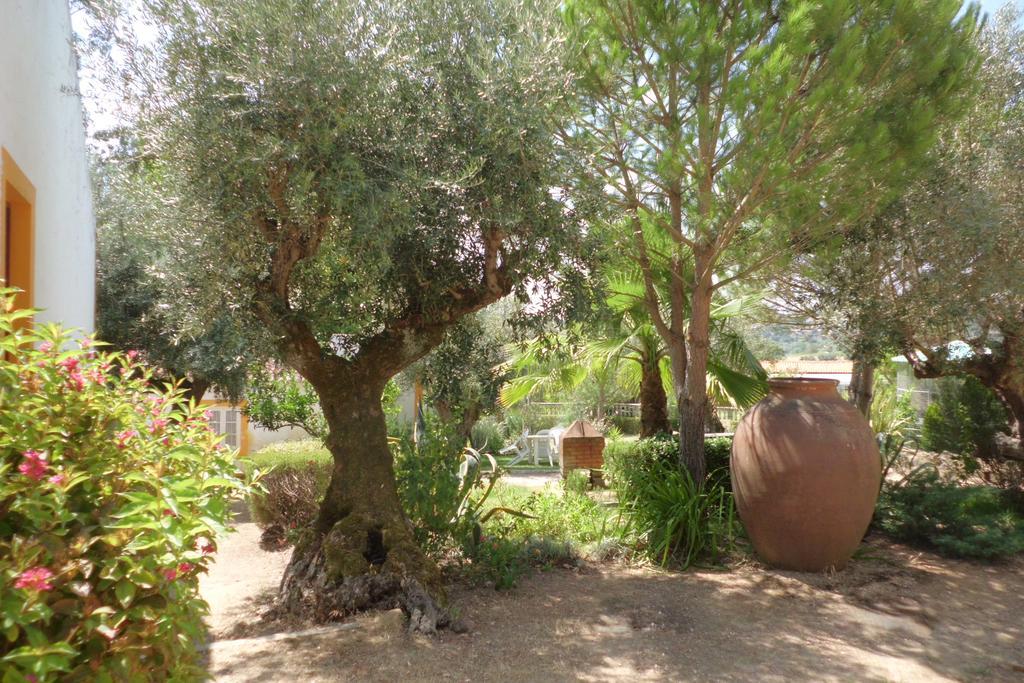 Quinta Do Pinhal Villa Constância Eksteriør bilde